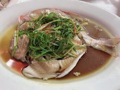 -老三鱼仔店