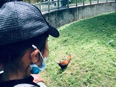 -西安秦岭野生动物园