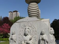 -木塔寺遗址生态公园