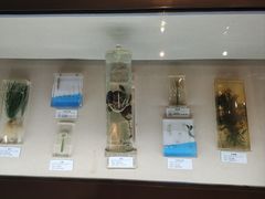 -青藏高原自然博物馆