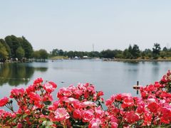 -上海辰山植物园
