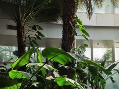 -郑州植物园