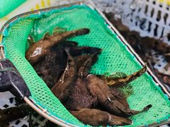 -毛哥小馆子(百井坊巷店)