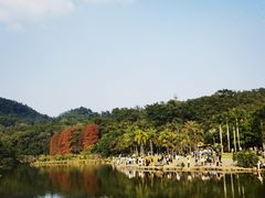 -深圳仙湖植物园