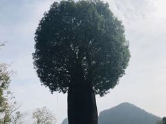 -Club Med地中海俱乐部·桂林度假村