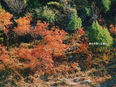 -北京上方山国家森林公园