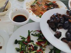 -庆岭迎宾园正宗活鱼馆