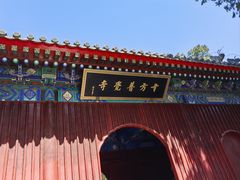 -国家植物园南园