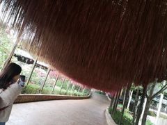 -盈香心动乐园