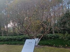 -苏州河梦清园环保主题公园