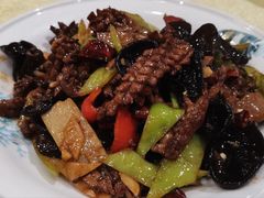 -新侨小馆(东直门北小街店)