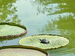 -国家植物园
