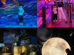 -顺德南宏海立方海洋公园
