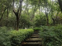 -杭州半山国家森林公园