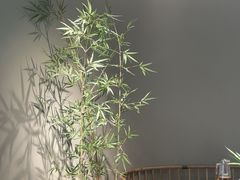 -绿茶餐厅(淮安吾悦广场店)
