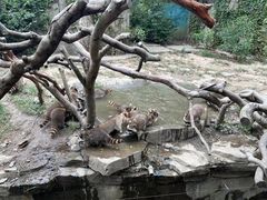 -宁波野生动物园