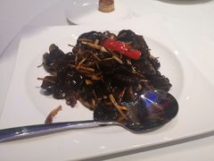 茶树菇烧木耳-赵记老铺(市府恒隆广场店)