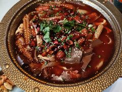 -饕然·民间川菜(龙泉店)