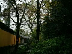 -兴福老面馆(寺路街店)