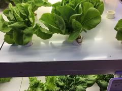 -盒马鲜生(大成店)