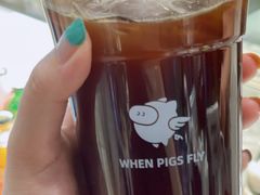 -WHEN PIGS FLY当猪飞