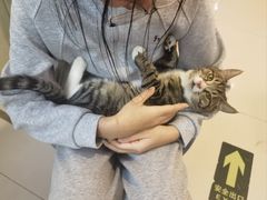 -平行世界·猫咖(首经贸店)