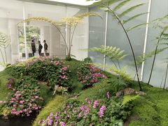 -罗红摄影艺术馆