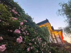 -茅山东方盐湖城景区