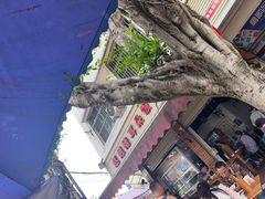 -赵姐猪耳朵饭店