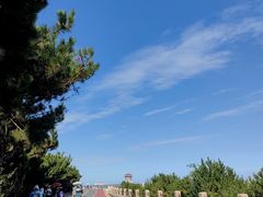 -日照海滨国家森林公园