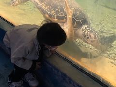 -苏州海洋馆