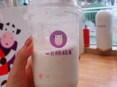 -一只酸奶牛(八一路店)