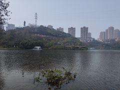 -重庆彩云湖湿地公园