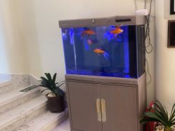 -海涛医疗美容·面部抗衰·注射美鼻