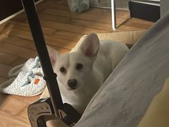 -Thai Basil罗勒叶泰式餐厅(时代天街店)