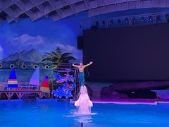 -海合安武汉极地海洋公园