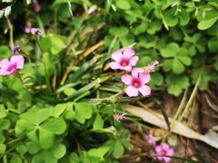 -美家乐农庄·露营·团建(大治路店)