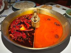 -小龙翻大江文化火锅(宽窄店)