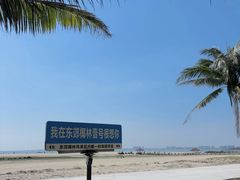 -东郊椰林