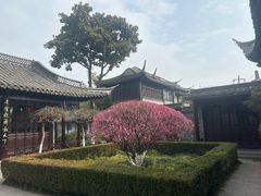 -梅园