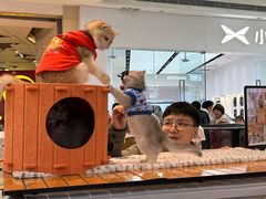 -万达广场(大明宫店)