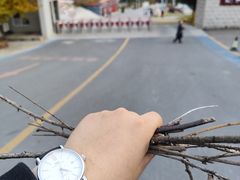 -青岩寺风景区