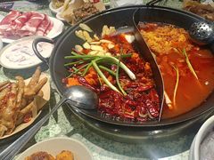 -五里关火锅(牛市口店)