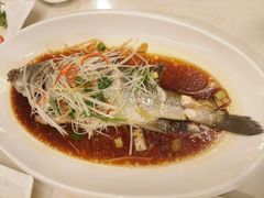 -喜乐餐厅•灯笼虾球首创者•本地小海鲜(二马路店)