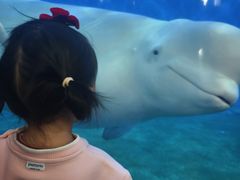 -泉城欧乐堡海洋极地世界