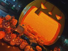 -郑州方特梦幻王国