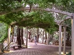 -叶家花园