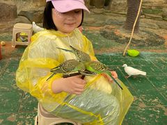 -西霞口神雕山野生动物世界