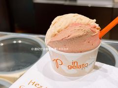 -Dip in Gelato(富民路店)