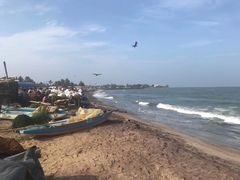 -尼甘布海鲜市场